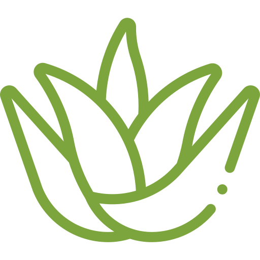 Vanashree-pure-aloe-vera